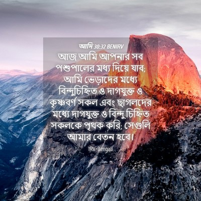 Picture 04 - আদি 30:32 BENIRV - আজ আমি আপনার সব - Bible Verse Picture