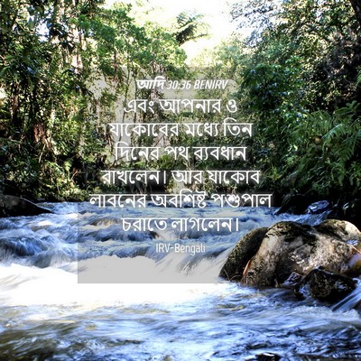Picture 04 - আদি 30:36 BENIRV - এবং আপনার ও - Bible Verse Picture