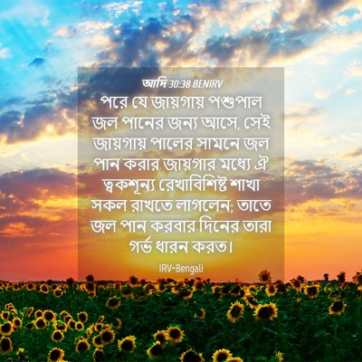 Picture 04 - আদি 30:38 BENIRV - পরে যে জায়গায় - Bible Verse Picture