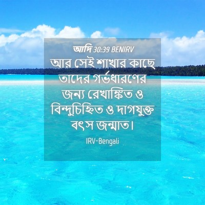 Picture 04 - আদি 30:39 BENIRV - আর সেই শাখার কাছে - Bible Verse Picture