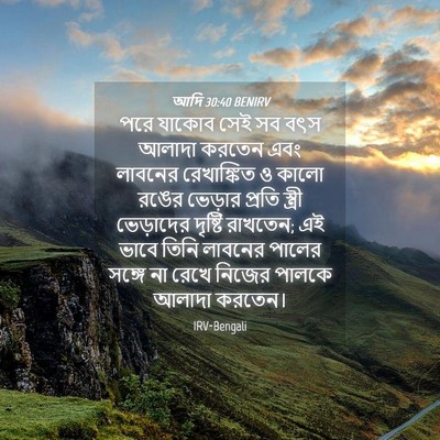 Picture 04 - আদি 30:40 BENIRV - পরে যাকোব সেই সব - Bible Verse Picture