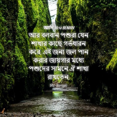 Picture 04 - আদি 30:41 BENIRV - আর বলবান পশুরা যেন - Bible Verse Picture