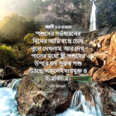 Picture 04 - আদি 31:10 BENIRV - পশুদের গর্ভধারনের - Bible Verse Picture