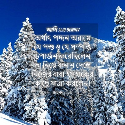 Picture 04 - আদি 31:18 BENIRV - অর্থাৎ পদ্দন - Bible Verse Picture
