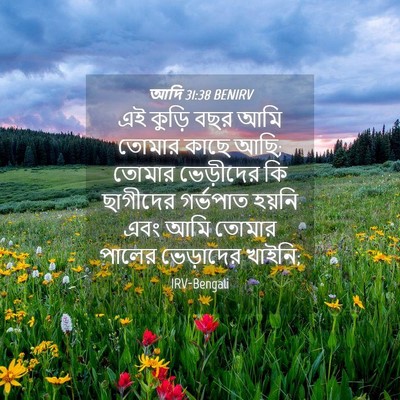 Picture 04 - আদি 31:38 BENIRV - এই কুড়ি বছর আমি - Bible Verse Picture
