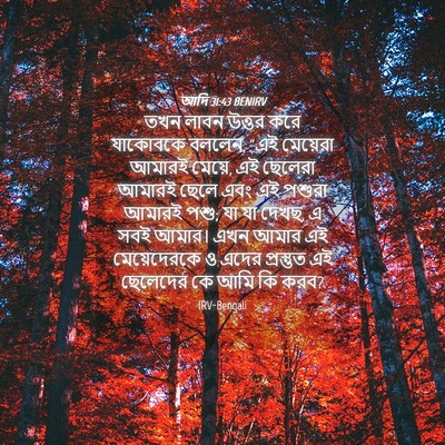 Picture 04 - আদি 31:43 BENIRV - তখন লাবন উত্তর করে - Bible Verse Picture