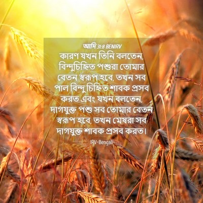 Picture 04 - আদি 31:8 BENIRV - কারণ যখন তিনি - Bible Verse Picture