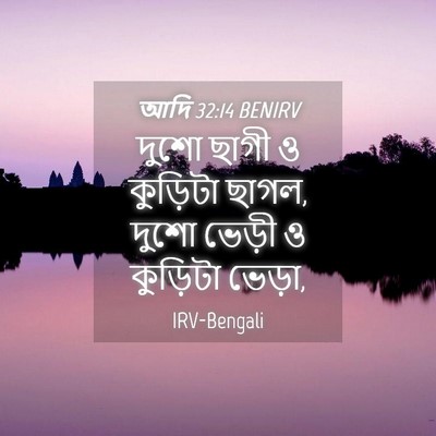 Picture 04 - আদি 32:14 BENIRV - দুশো ছাগী ও - Bible Verse Picture