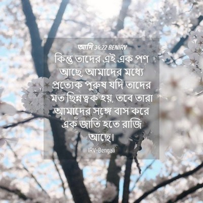 Picture 04 - আদি 34:22 BENIRV - কিন্তু তাদের এই এক - Bible Verse Picture