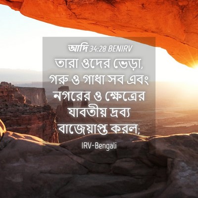 Picture 04 - আদি 34:28 BENIRV - তারা ওদের ভেড়া, - Bible Verse Picture