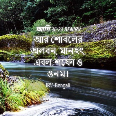 Picture 04 - আদি 36:23 BENIRV - আর শোবলের অলবন, - Bible Verse Picture