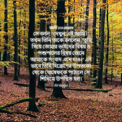 Picture 04 - আদি 37:14 BENIRV - সে বলল, “দেখুন, এই - Bible Verse Picture
