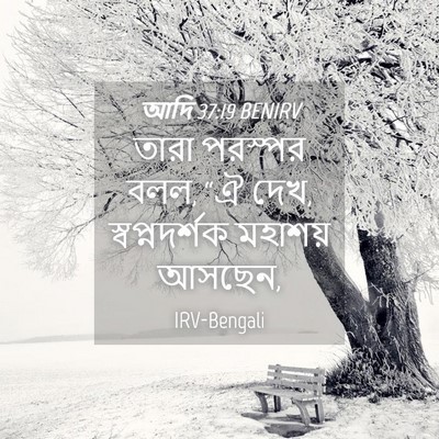 Picture 04 - আদি 37:19 BENIRV - তারা পরস্পর বলল, “ঐ - Bible Verse Picture