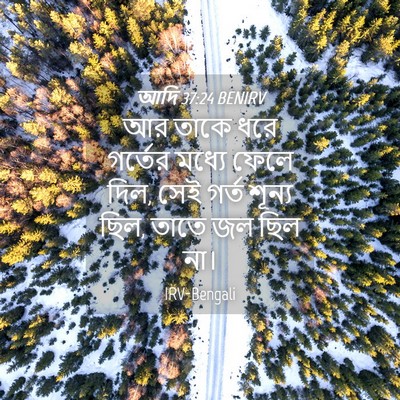 Picture 04 - আদি 37:24 BENIRV - আর তাকে ধরে গর্তের - Bible Verse Picture