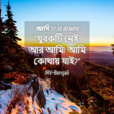 Picture 04 - আদি 37:30 BENIRV - “যুবকটি নেই, আর - Bible Verse Picture