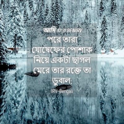 Picture 04 - আদি 37:31 BENIRV - পরে তারা যোষেফের - Bible Verse Picture