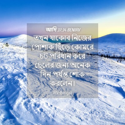 Picture 04 - আদি 37:34 BENIRV - তখন যাকোব নিজের - Bible Verse Picture