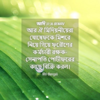 Picture 04 - আদি 37:36 BENIRV - আর ঐ - Bible Verse Picture