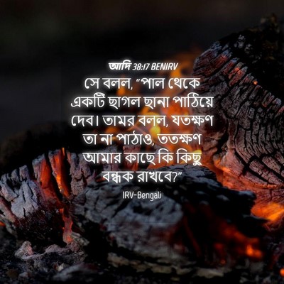 Picture 04 - আদি 38:17 BENIRV - সে বলল, “পাল থেকে - Bible Verse Picture