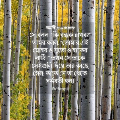 Picture 04 - আদি 38:18 BENIRV - সে বলল, “কি বন্ধক - Bible Verse Picture