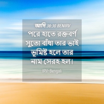 Picture 04 - আদি 38:30 BENIRV - পরে হাতে রক্তবর্ণ - Bible Verse Picture