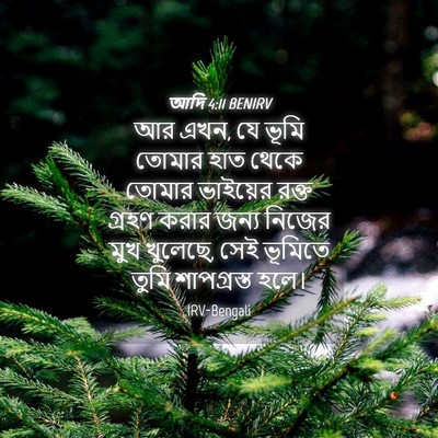 Picture 04 - আদি 4:11 BENIRV - আর এখন, যে ভূমি - Bible Verse Picture