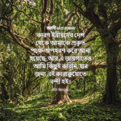 Picture 04 - আদি 40:15 BENIRV - কারণ ইব্রীয়দের - Bible Verse Picture