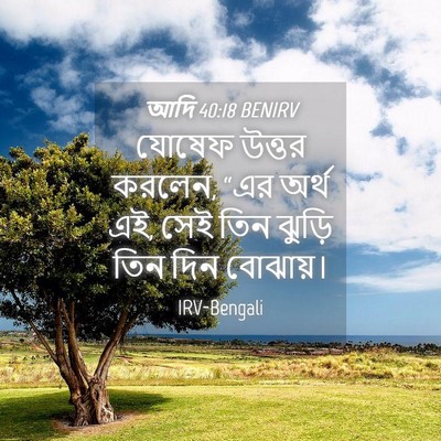 Picture 04 - আদি 40:18 BENIRV - যোষেফ উত্তর করলেন, - Bible Verse Picture