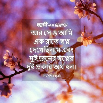 Picture 04 - আদি 41:11 BENIRV - আর সে ও আমি এক রাতে - Bible Verse Picture