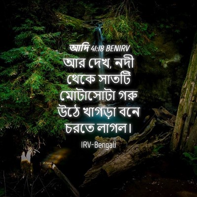 Picture 04 - আদি 41:18 BENIRV - আর দেখ, নদী থেকে - Bible Verse Picture
