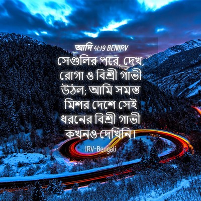 Picture 04 - আদি 41:19 BENIRV - সেগুলির পরে, দেখ, - Bible Verse Picture