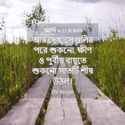 Picture 04 - আদি 41:23 BENIRV - আর দেখ, সেগুলির পরে - Bible Verse Picture