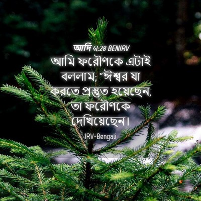 Picture 04 - আদি 41:28 BENIRV - আমি ফরৌণকে এটাই - Bible Verse Picture