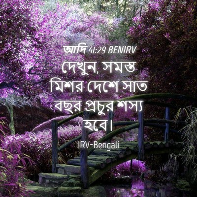 Picture 04 - আদি 41:29 BENIRV - দেখুন, সমস্ত মিশর - Bible Verse Picture