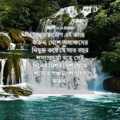 Picture 04 - আদি 41:34 BENIRV - আর ফরৌণ এই কাজ - Bible Verse Picture