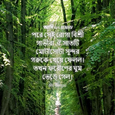 Picture 04 - আদি 41:4 BENIRV - পরে সেই রোগা - Bible Verse Picture
