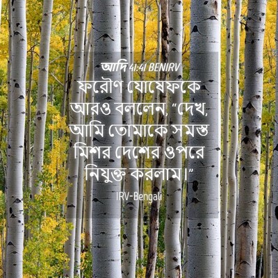 Picture 04 - আদি 41:41 BENIRV - ফরৌণ যোষেফকে আরও - Bible Verse Picture