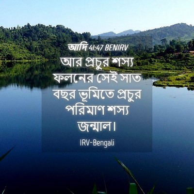 Picture 04 - আদি 41:47 BENIRV - আর প্রচুর শস্য - Bible Verse Picture