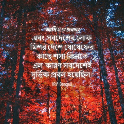 Picture 04 - আদি 41:57 BENIRV - এবং সবদেশের লোক - Bible Verse Picture