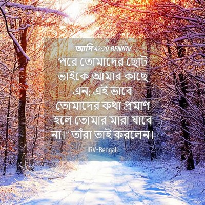 Picture 04 - আদি 42:20 BENIRV - পরে তোমাদের ছোট - Bible Verse Picture