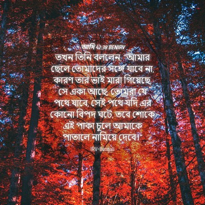 Picture 04 - আদি 42:38 BENIRV - তখন তিনি বললেন, - Bible Verse Picture