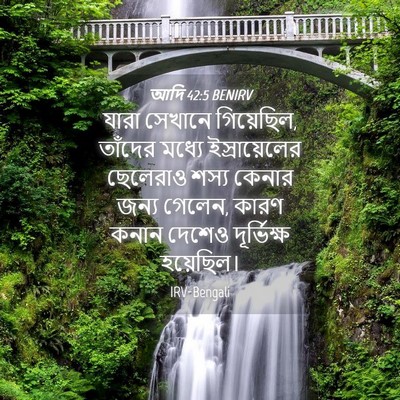 Picture 04 - আদি 42:5 BENIRV - যারা সেখানে - Bible Verse Picture