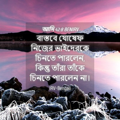 Picture 04 - আদি 42:8 BENIRV - বাস্তবে যোষেফ - Bible Verse Picture