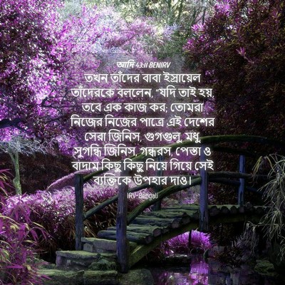 Picture 04 - আদি 43:11 BENIRV - তখন তাঁদের বাবা - Bible Verse Picture