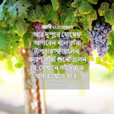 Picture 04 - আদি 43:25 BENIRV - আর দুপুরে যোষেফ - Bible Verse Picture
