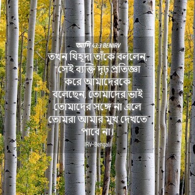 Picture 04 - আদি 43:3 BENIRV - তখন যিহূদা তাঁকে - Bible Verse Picture