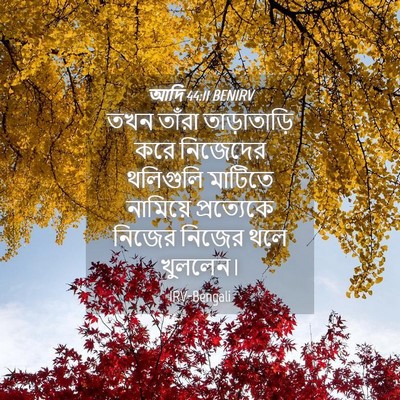 Picture 04 - আদি 44:11 BENIRV - তখন তাঁরা - Bible Verse Picture