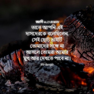 Picture 04 - আদি 44:23 BENIRV - তাতে আপনি এই - Bible Verse Picture