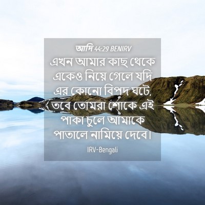 Picture 04 - আদি 44:29 BENIRV - এখন আমার কাছ থেকে - Bible Verse Picture