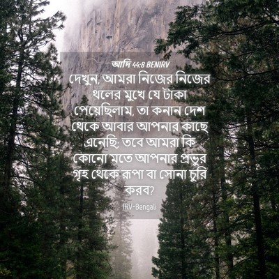 Picture 04 - আদি 44:8 BENIRV - দেখুন, আমরা নিজের - Bible Verse Picture